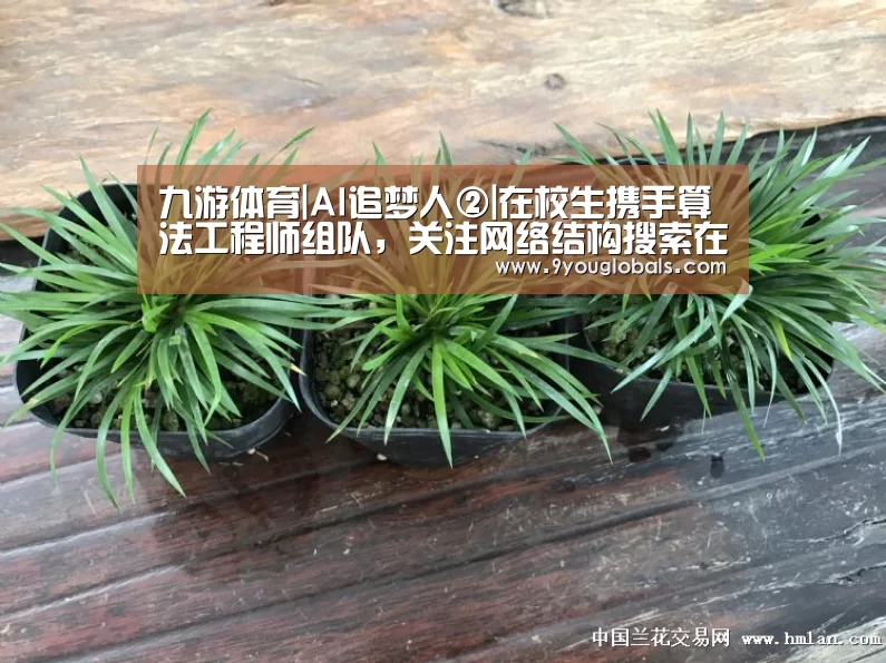 九游体育