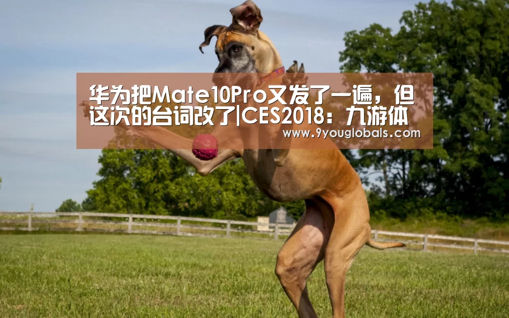 九游体育