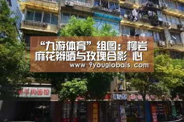 九游体育